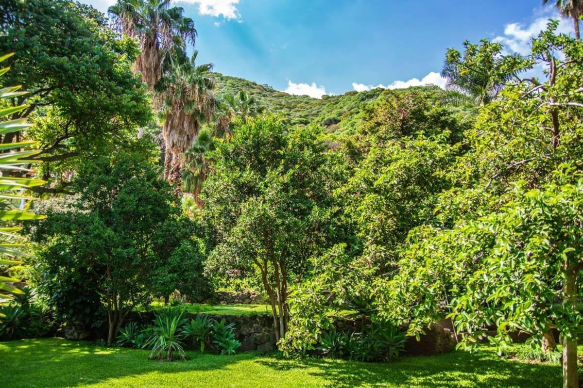 Casa Galeana- Tropical 1-Bd 1-Wc Mountain Top Luxury Suite With Stunning Views Ахихик Екстер'єр фото