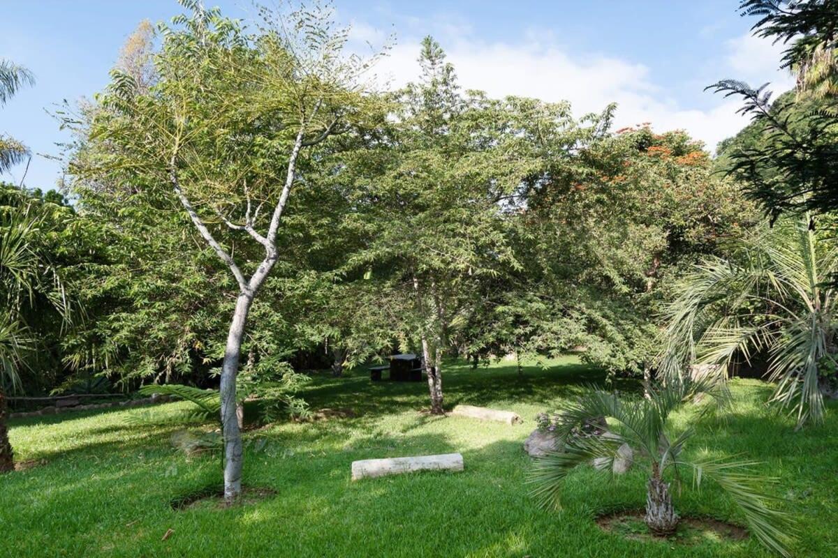 Casa Galeana- Tropical 1-Bd 1-Wc Mountain Top Luxury Suite With Stunning Views Ахихик Екстер'єр фото